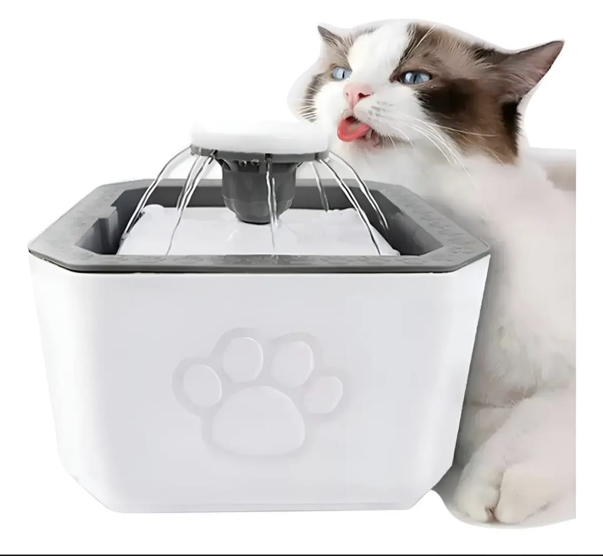 FUENTE PARA GATOS, imagen 1